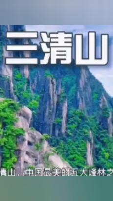 创作猫